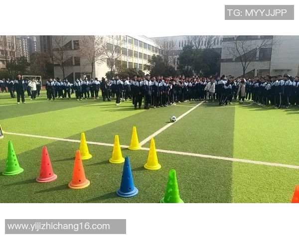 足球场上激情四溢，如何用生动的句子描绘这项运动的魅力与团队精神